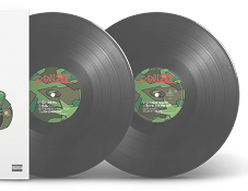 lp do álbum gorillaz